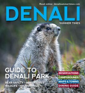 Denali Summer Times Ebook
